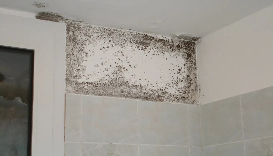 Schimmel in de badkamer? Zo pak je het probleem definitief aan