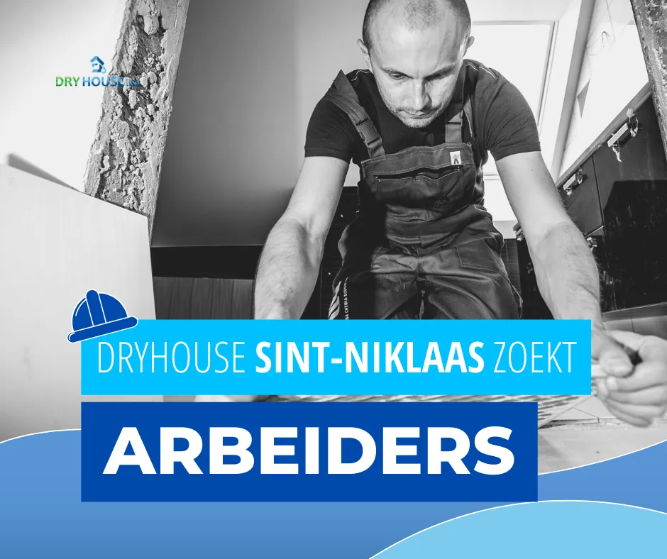 Dryhouse zoekt extra arbeiders