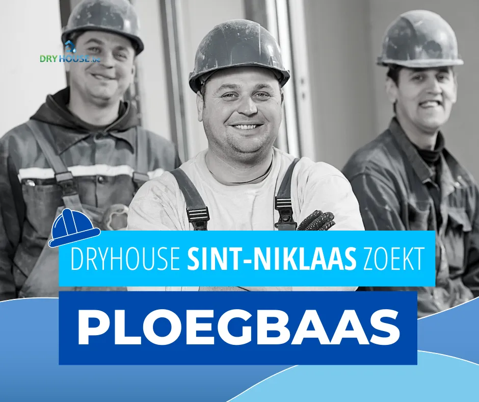 Dryhouse zoekt ploegbaas