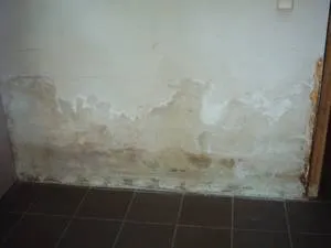 Opstijgend vocht en injectie